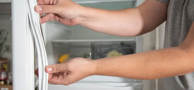 cracked-refrigerator-seal